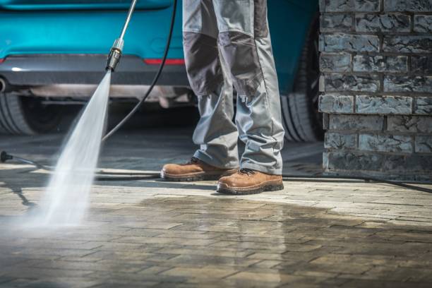 Best Soft Washing  in Sherman, TX